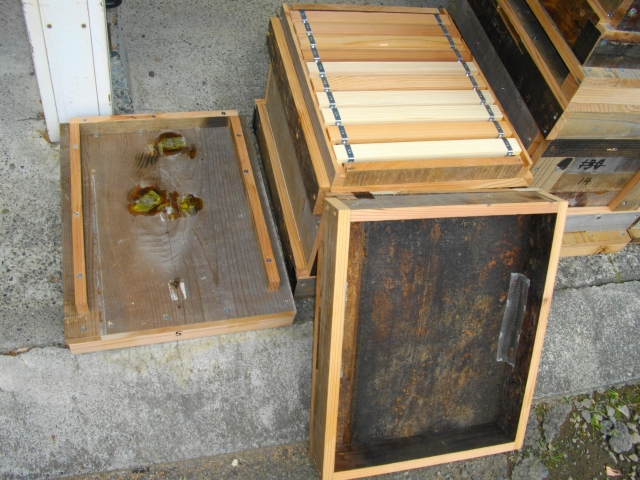 日本蜜蜂の巣枠式巣箱完成