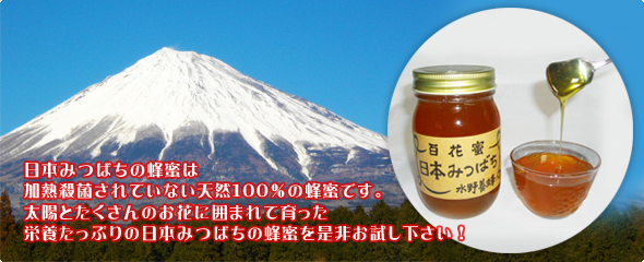 静岡県の国産蜂蜜（はちみつ）販売 水野養蜂-日本蜜蜂（日本みつばち）養蜂場-